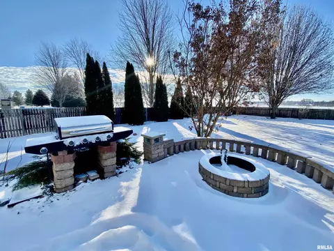 5616 W Barberry Ct, Edwards, IL 61528 photo 44