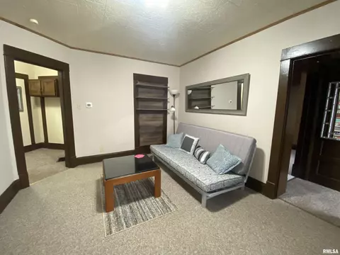 320 N Sherman Ave, Macomb, IL 61455 photo 47