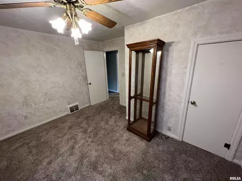 1015 E Ash St, Canton, IL 61520 photo 21