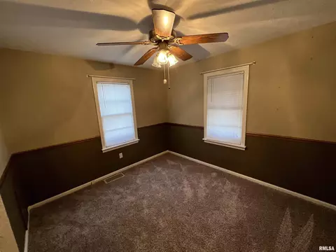 1015 E Ash St, Canton, IL 61520 photo 23