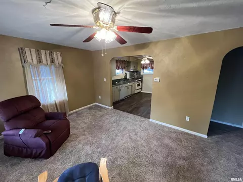 1015 E Ash St, Canton, IL 61520 photo 15