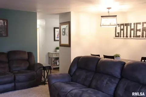 4818 S Queen Aleta Ct, Mapleton, IL 61547 photo 5