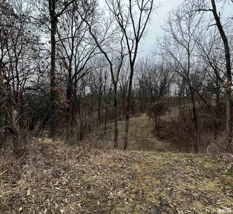 10 E Shaw Rd, Avon, IL 61415 photo 7