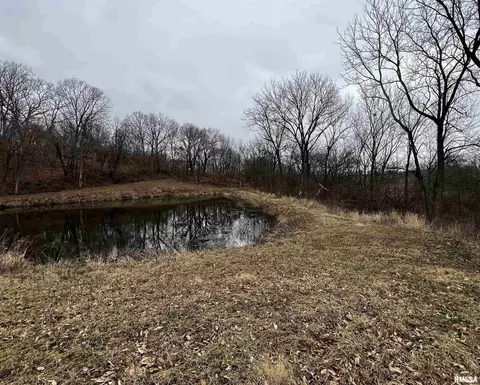 10 E Shaw Rd, Avon, IL 61415 photo 6