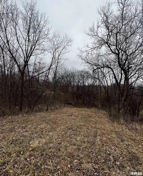 10 E Shaw Rd, Avon, IL 61415 photo 8