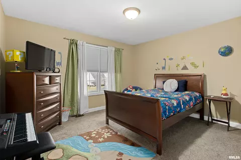11513 N Bristol Dr, Dunlap, IL 61525 photo 31