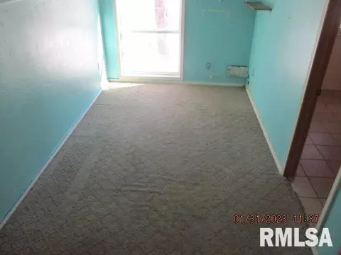 1127 Main St, Henry, IL 61537 photo 14