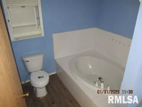 1127 Main St, Henry, IL 61537 photo 10