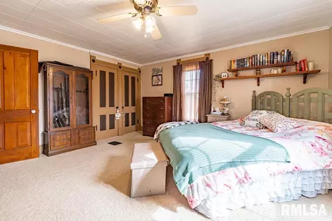 547 E Maple St, Canton, IL 61520 photo 17