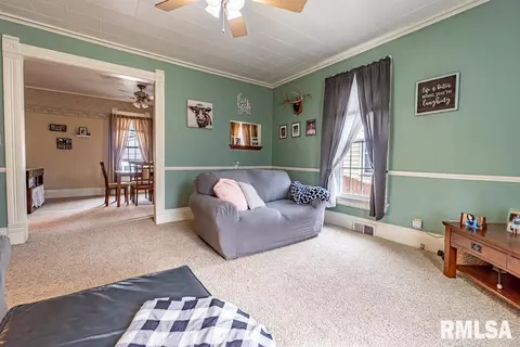 547 E Maple St, Canton, IL 61520 photo 4