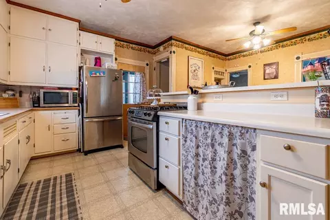 547 E Maple St, Canton, IL 61520 photo 8