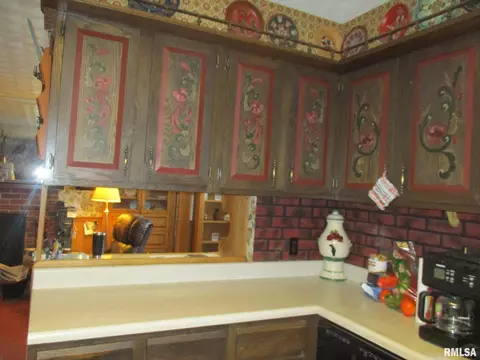 344 Grebner Rd, Metamora, IL 61548 photo 44