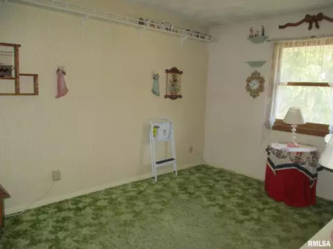 344 Grebner Rd, Metamora, IL 61548 photo 77