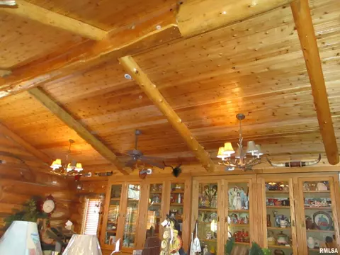 344 Grebner Rd, Metamora, IL 61548 photo 23