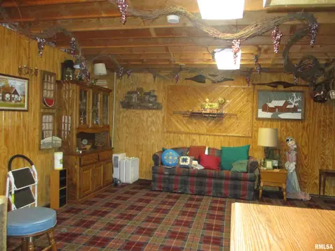 344 Grebner Rd, Metamora, IL 61548 photo 92