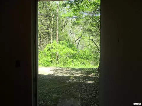 344 Grebner Rd, Metamora, IL 61548 photo 68