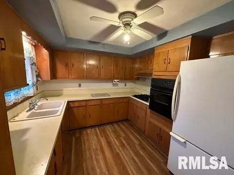 16250 E Cherokee Rd, Cuba, IL 61427 photo 9