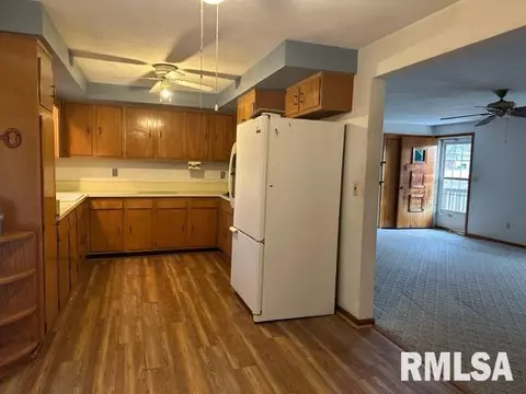 16250 E Cherokee Rd, Cuba, IL 61427 photo 8