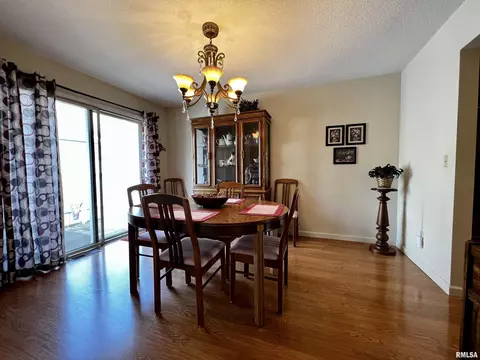 1154 Stacy Ln, Macomb, IL 61455 photo 7