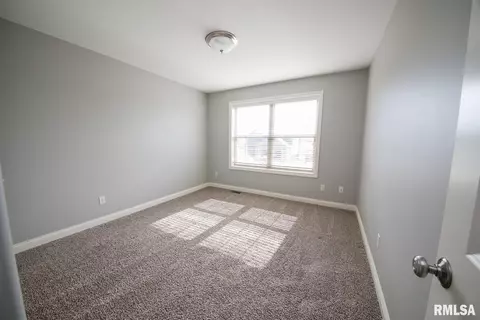 2919 W School St, Dunlap, IL 61525 photo 23