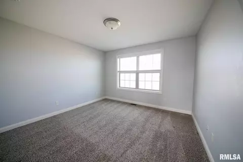 2919 W School St, Dunlap, IL 61525 photo 25