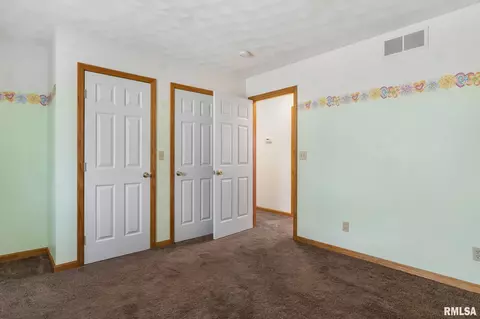 10021 W Sapphire Dr, Mapleton, IL 61547 photo 14
