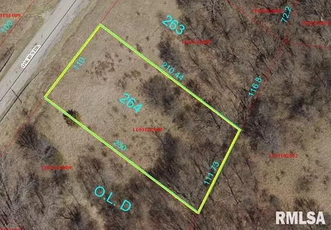 5264 Oak Run Dr, Dahinda, IL 61428