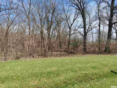 Lot 921 Diamond Point, Mapleton, IL 61547 photo 3