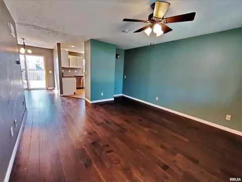 515 E Fast Ave, Mackinaw, IL 61755 photo 39