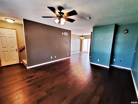 515 E Fast Ave, Mackinaw, IL 61755 photo 21