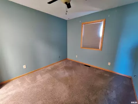 515 E Fast Ave, Mackinaw, IL 61755 photo 31