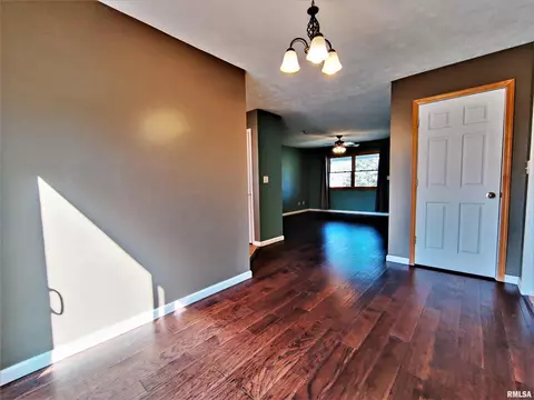 515 E Fast Ave, Mackinaw, IL 61755 photo 38