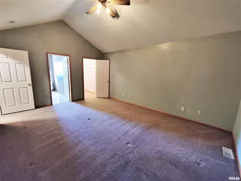 515 E Fast Ave, Mackinaw, IL 61755 photo 28