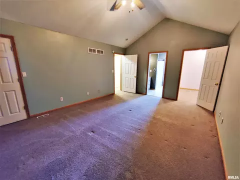 515 E Fast Ave, Mackinaw, IL 61755 photo 37