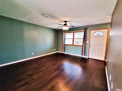 515 E Fast Ave, Mackinaw, IL 61755 photo 19
