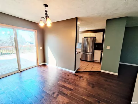 515 E Fast Ave, Mackinaw, IL 61755 photo 17