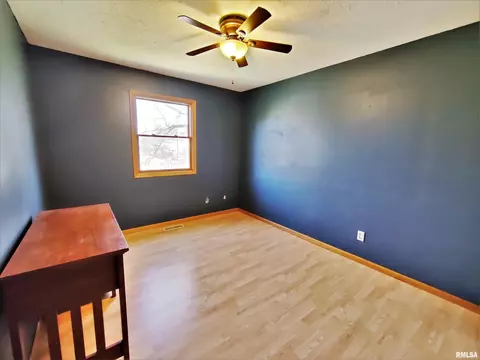 515 E Fast Ave, Mackinaw, IL 61755 photo 33