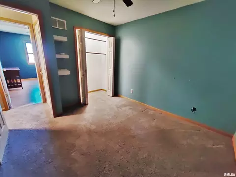 515 E Fast Ave, Mackinaw, IL 61755 photo 32