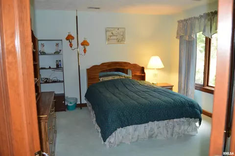 12710 N Georgetowne Rd, Dunlap, IL 61525 photo 29