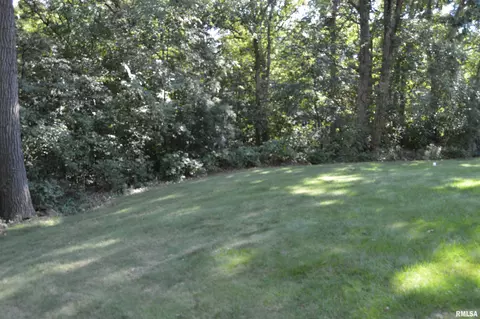 12710 N Georgetowne Rd, Dunlap, IL 61525 photo 36