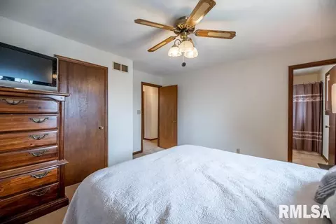 9511 W Whittingham Pt, Mapleton, IL 61547 photo 33