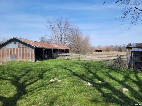 10766 E Cameron St, Cuba, IL 61427 photo 5