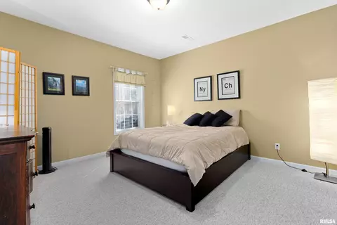 108 W Hillside Ct, Dunlap, IL 61525 photo 42