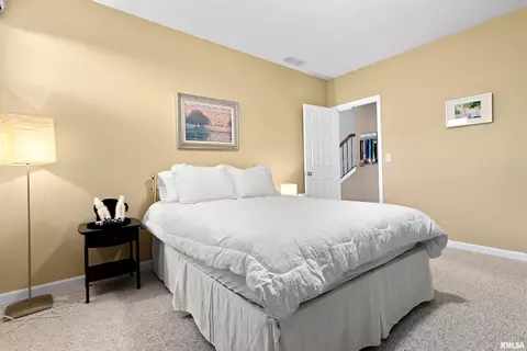 108 W Hillside Ct, Dunlap, IL 61525 photo 49