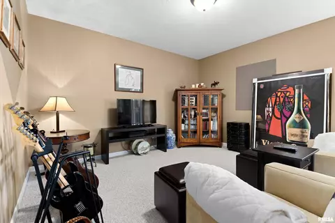 108 W Hillside Ct, Dunlap, IL 61525 photo 40