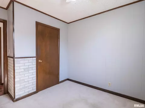 236 E Monroe St, Greenview, IL 62642 photo 47