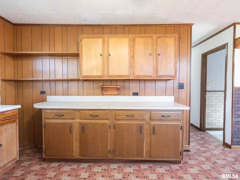 236 E Monroe St, Greenview, IL 62642 photo 27