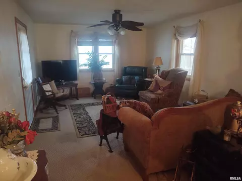 410 E Broadway St, Ipava, IL 61441 photo 23