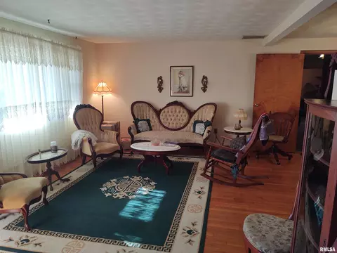 410 E Broadway St, Ipava, IL 61441 photo 3