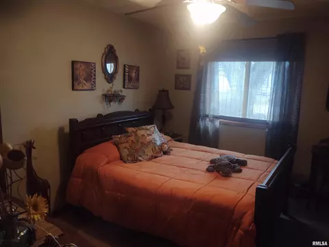 410 E Broadway St, Ipava, IL 61441 photo 11